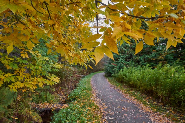 Sigma 20-60mm f2.8_4_32w.jpg