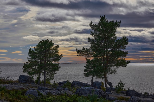 Canon RF 85mm f1.4 VCM_5w.jpg