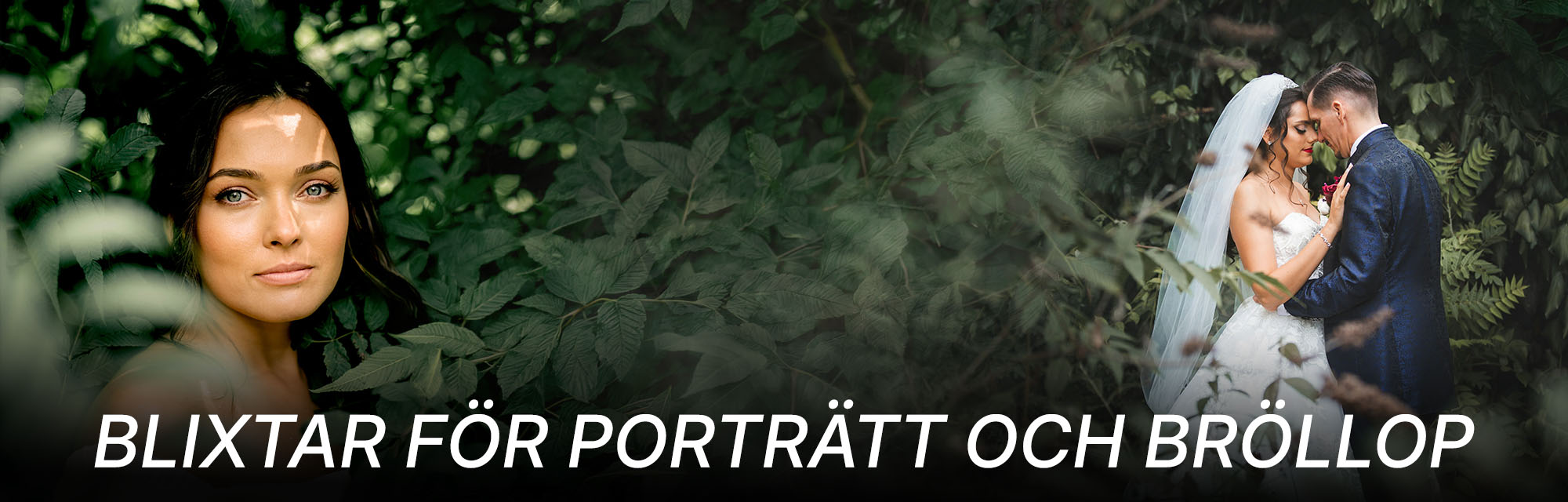 Header_blixtar.jpg