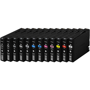 Pro-1 färgpatronpaket (12st PGI-29) 