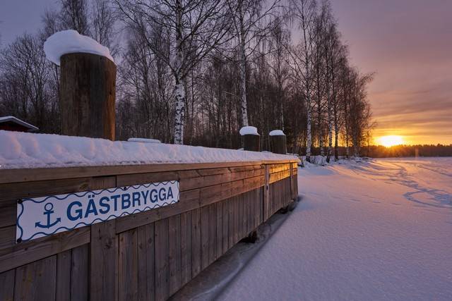 Sigma 15mm f1.4 DC_28w.jpg