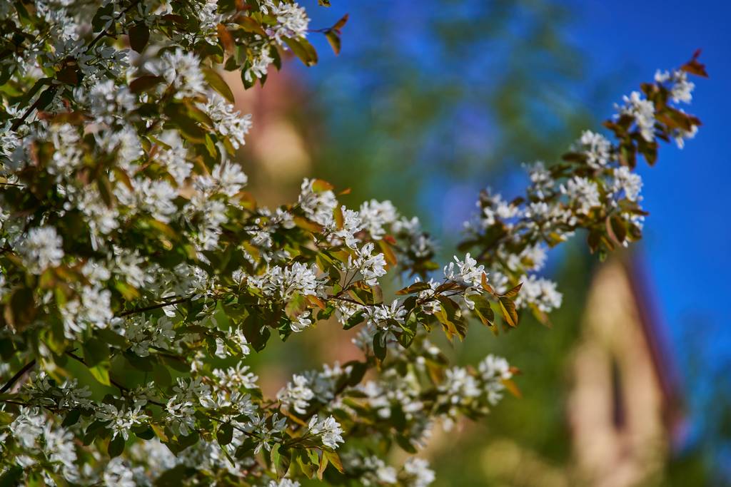 Samyang 35-150mm_blogg3.jpg