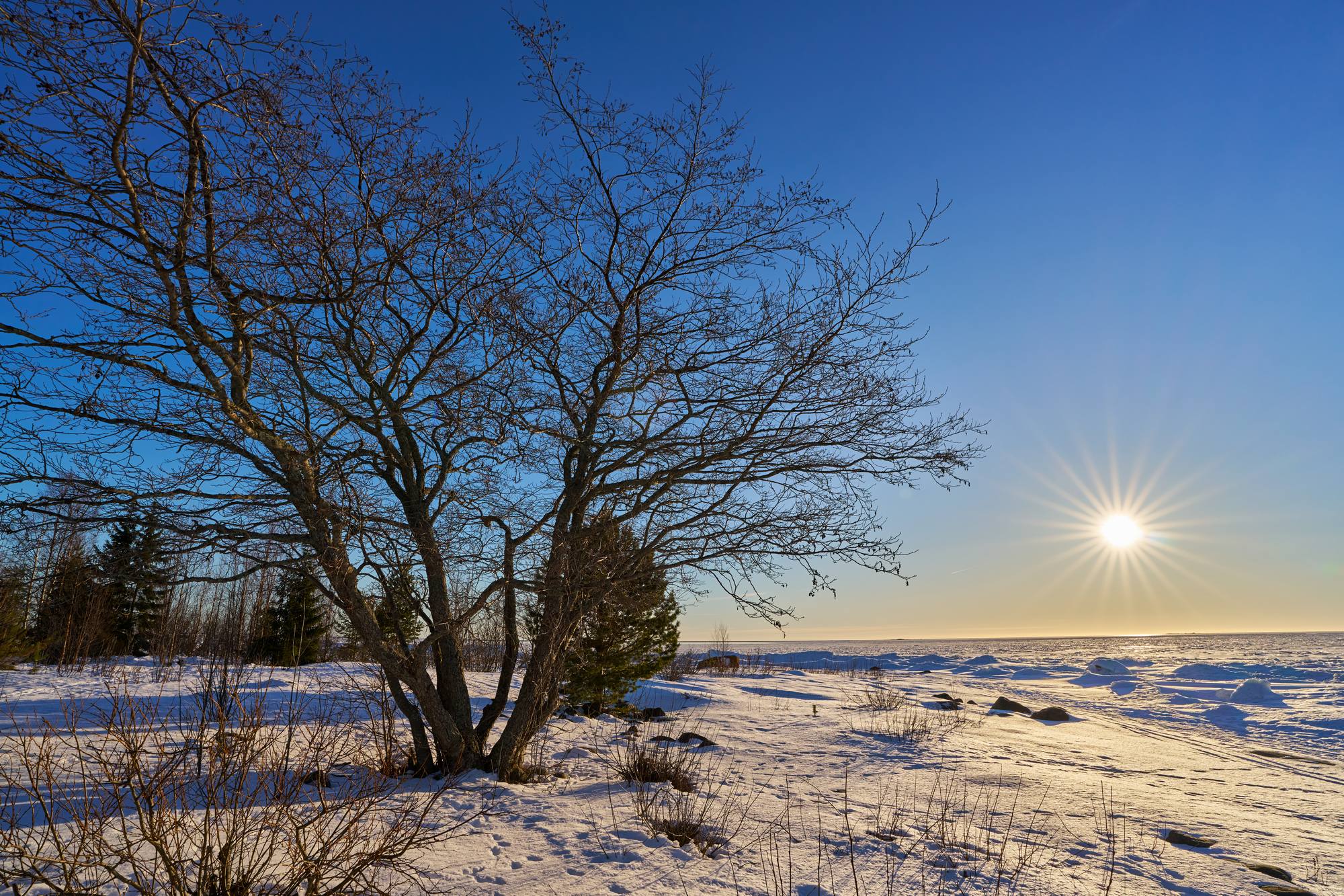 Sony 16mm f1.8_blogg3.jpg