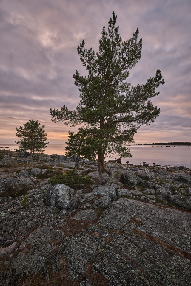 Canon EOS R6 Mark III_25w.jpg