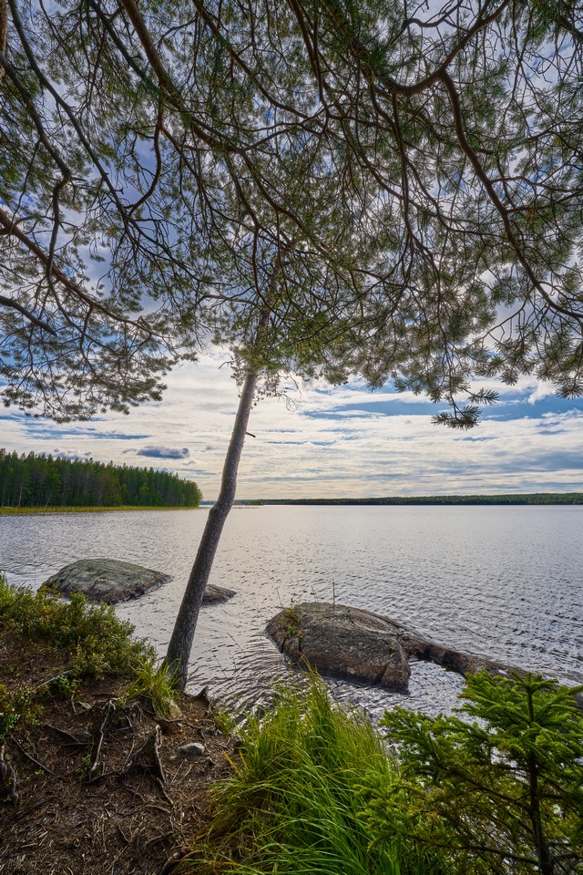 Tamron 12-20mm f2.8_20w.jpg