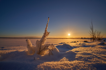 Nisi 15mm f4_24.jpg
