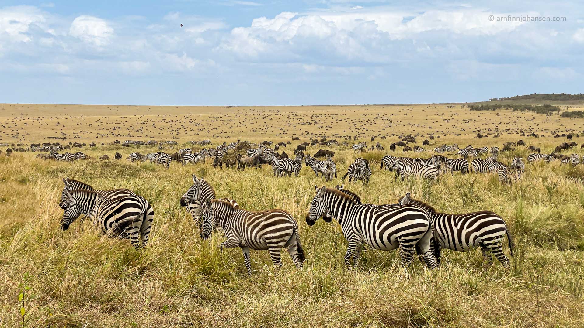 Masi-Mara-offroda-200.jpg