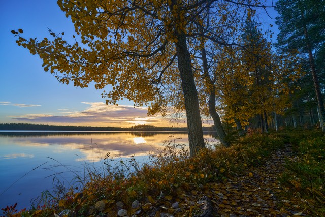 Viltrox 14mm f4_14w.jpg