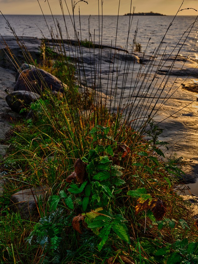 Fujifilm GF 55 f1.7_32w.jpg