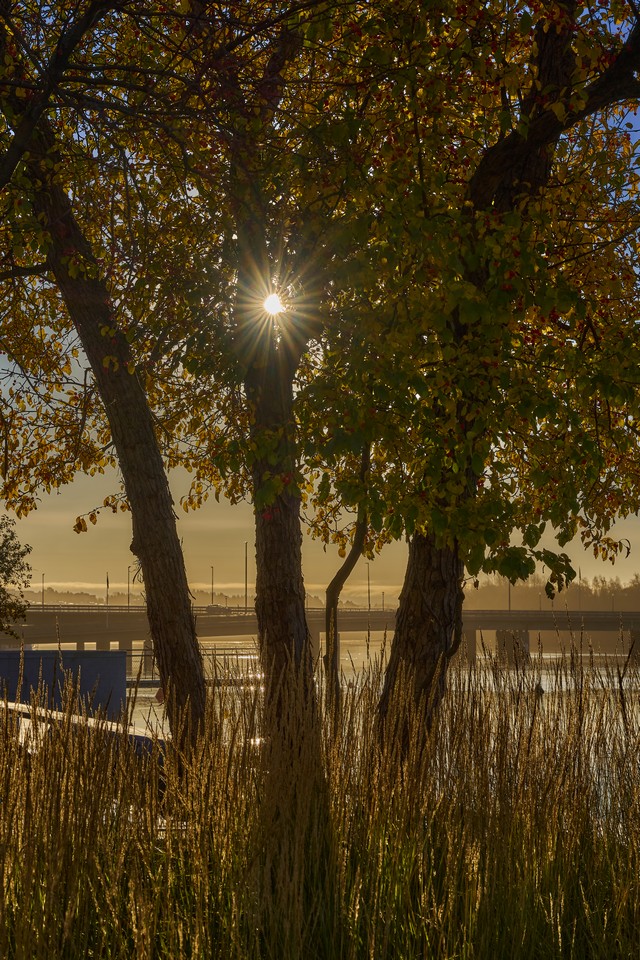 Viltrox 56mm f1.2_31w.jpg