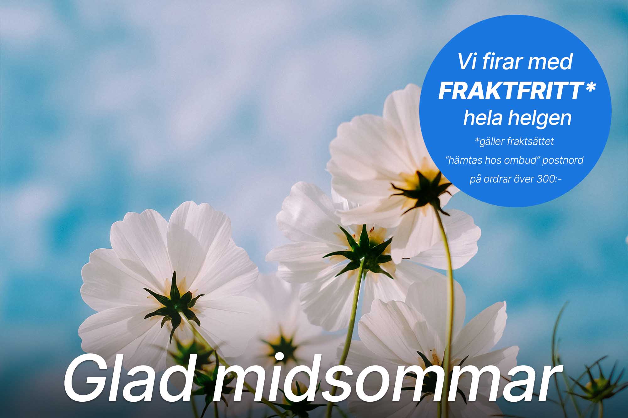 midsommar_blogg_lördag.jpg