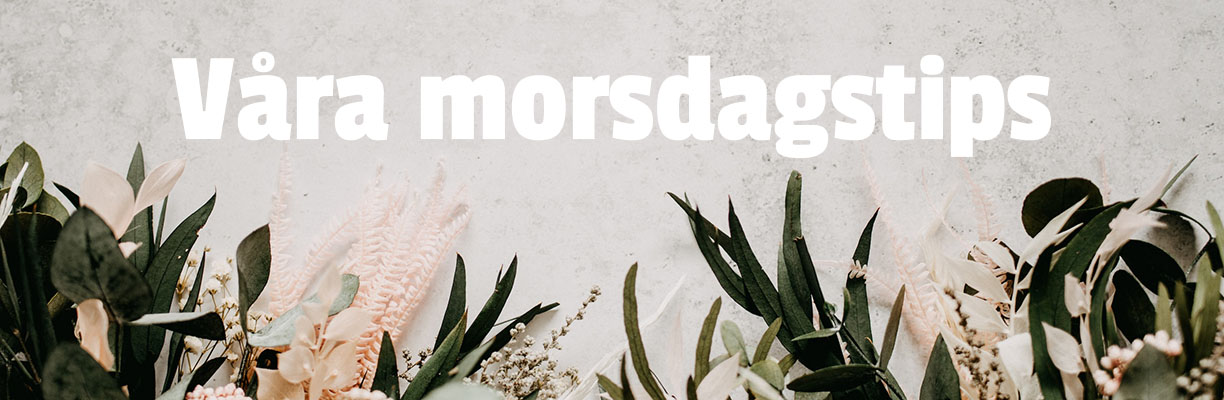 header_morsdag.jpg