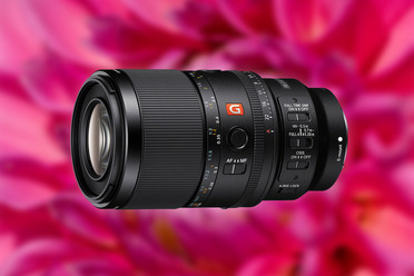 SonyFE100mmMacroGM_blogg.jpg