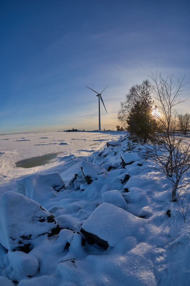 Canon RF 7-14mm_5w.jpg