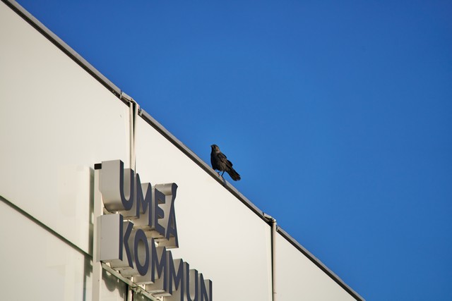 Sigma 20-200mm DG C_27w.jpg