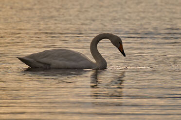 Panasonic S 100-400mm_blogg1.jpg