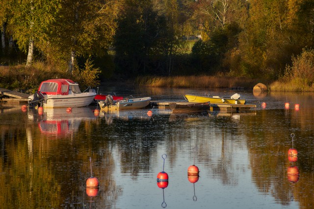 Sigma 20-200mm DG C_14w.jpg