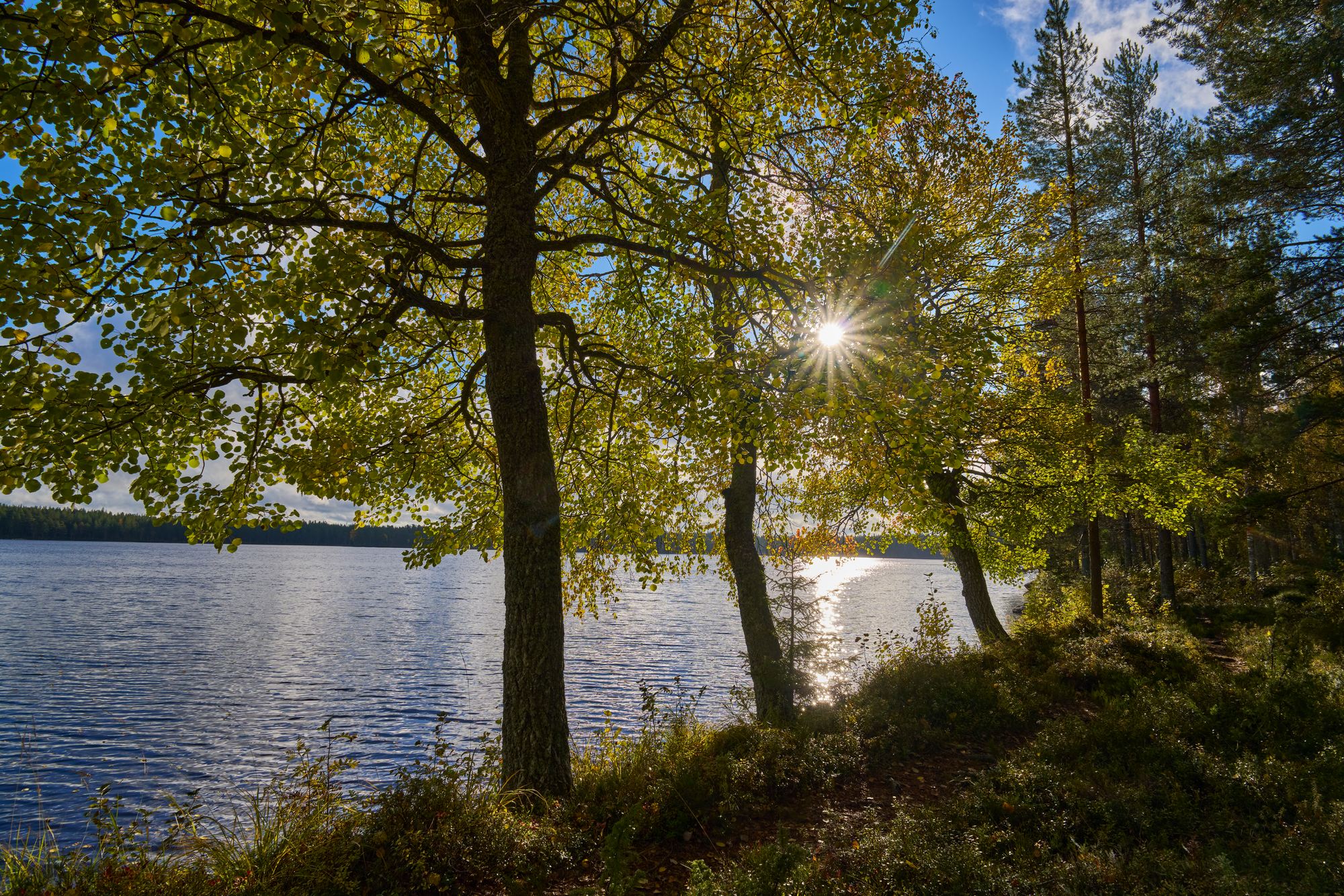 Sigma 20-200mm DG C_blogg1.jpg