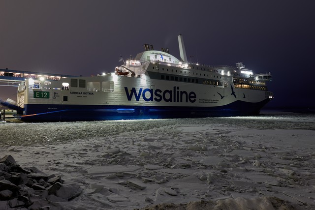 Panasonic S1 II_15w.jpg