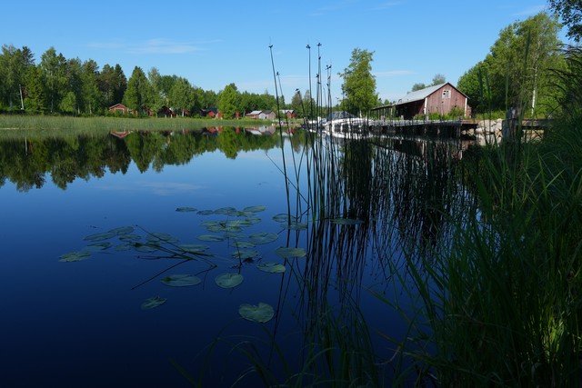 Sony ZV-E10 II_17w.jpg