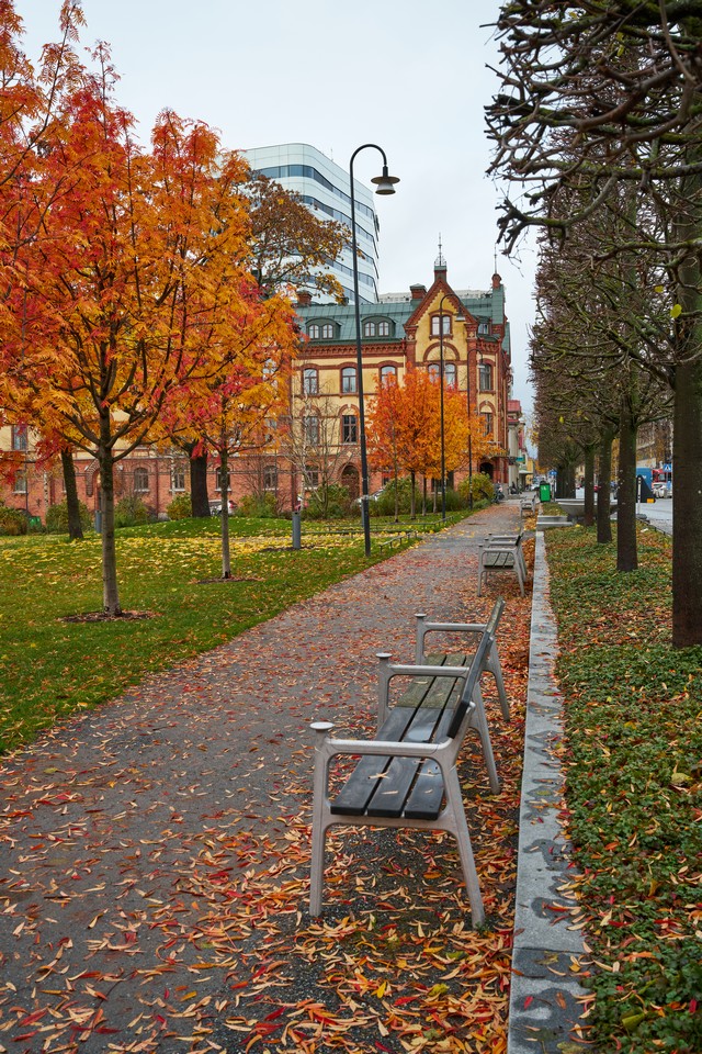 Sigma 35mm f1.2 II_27w.jpg