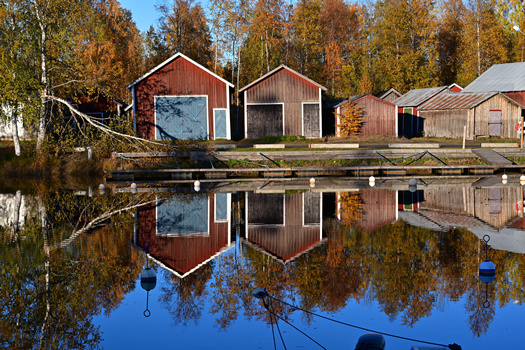 DSC_0253w.jpg