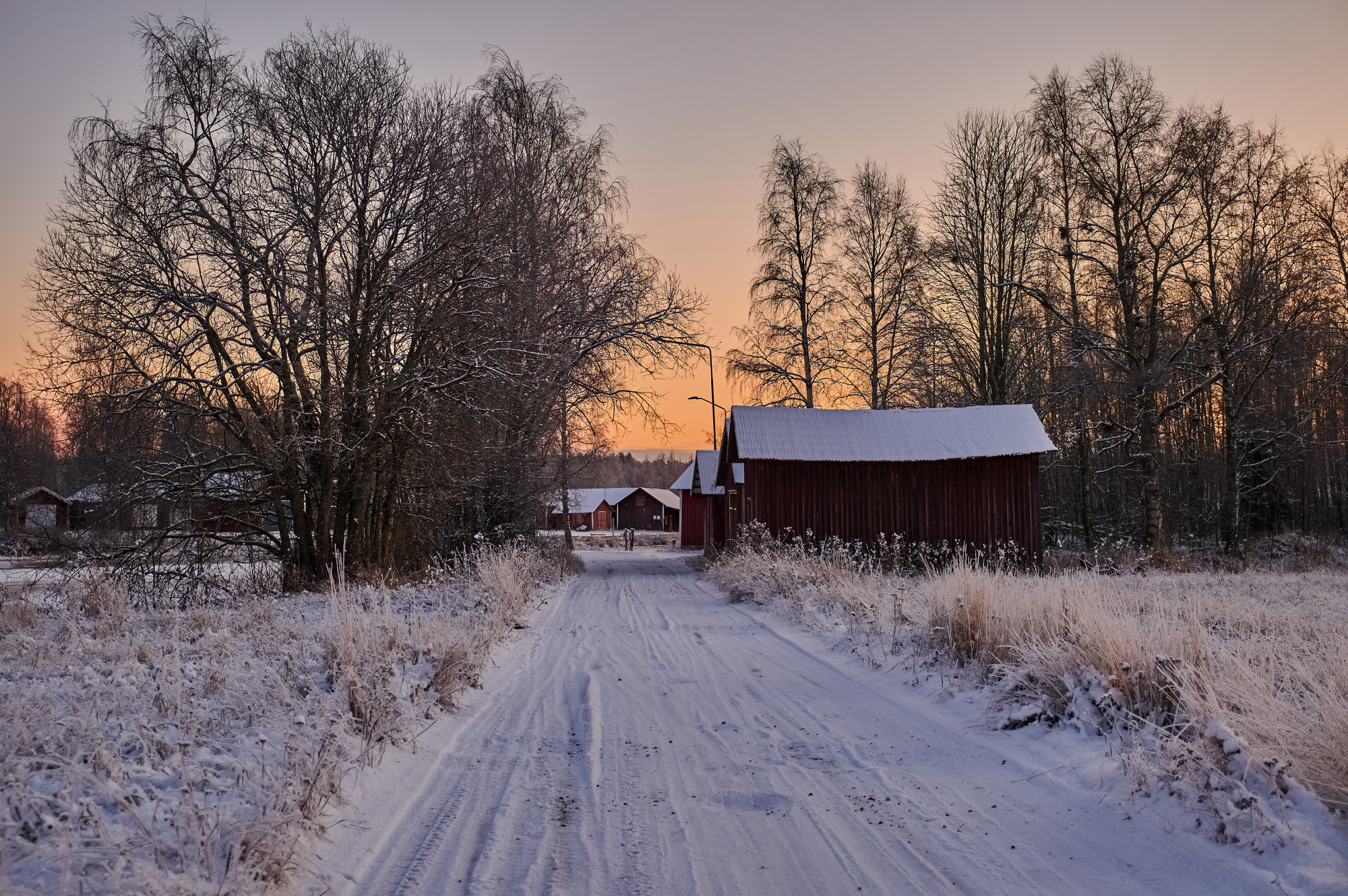 NikonZ DX 16-50mm f2.8_blogg1.jpg