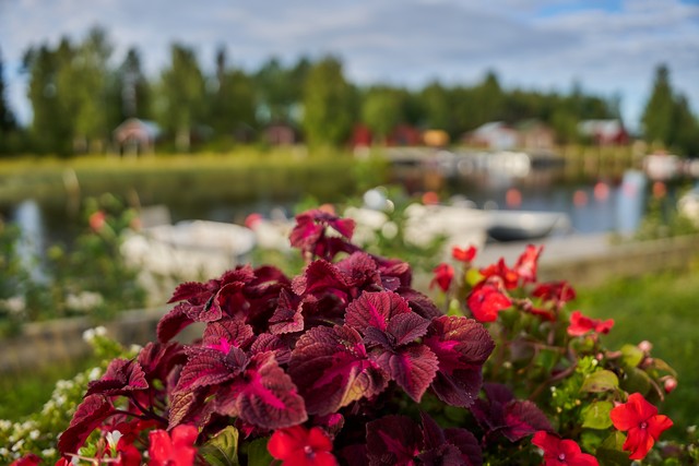 Sigma 17-40mm f1.8_26w.jpg