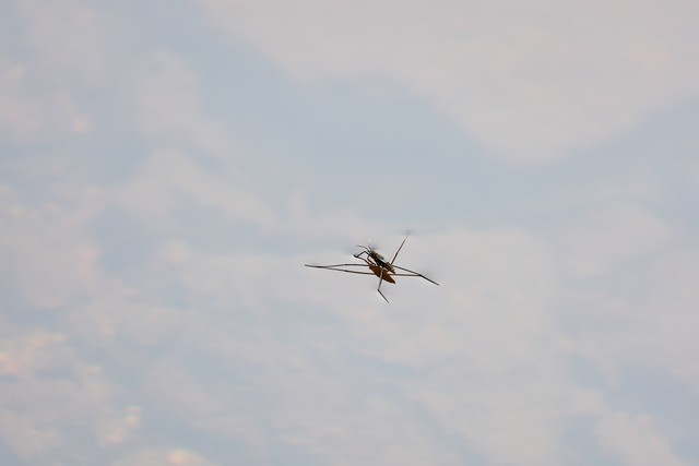 Sony RX 10 V_40w.jpg