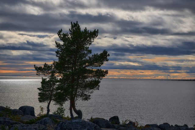 Canon RF 85mm f1.4 VCM_4w.jpg