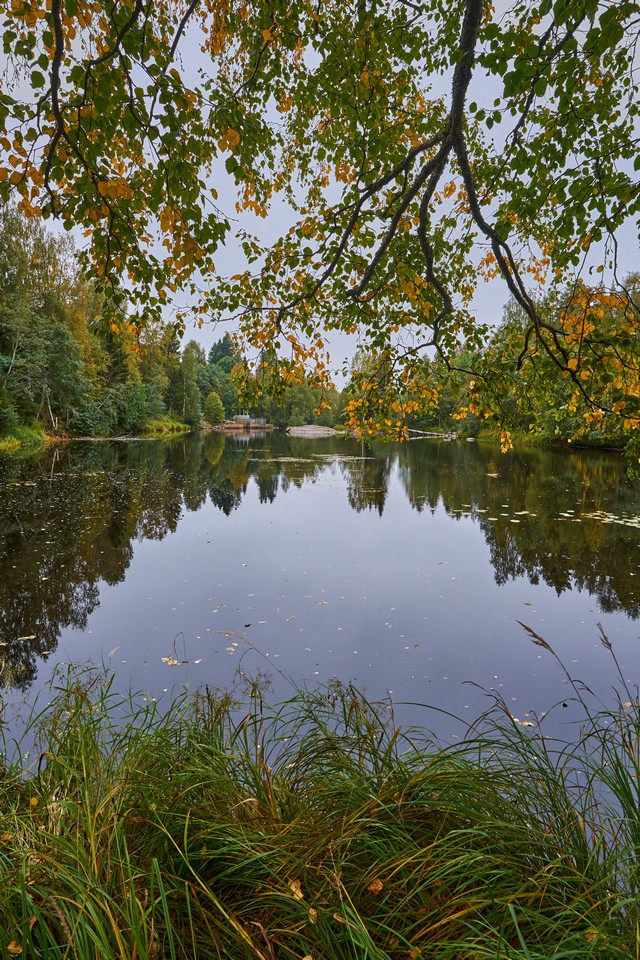 Sigma 12mm f1.4 C_3w.jpg