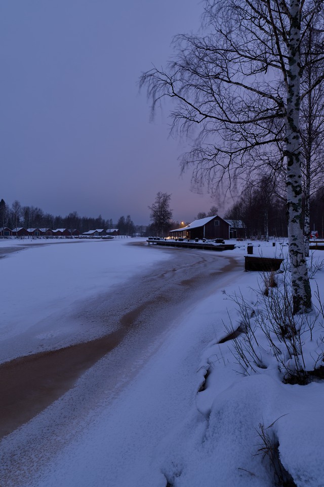 Panasonic S1 II_9w.jpg