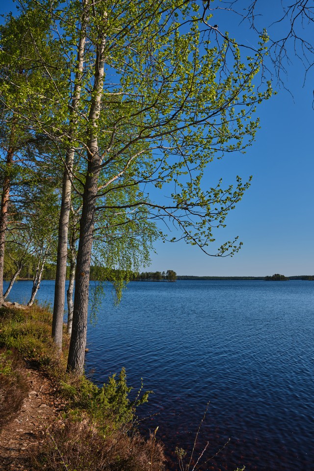 Fujifilm XF 16-50mm_2w.jpg