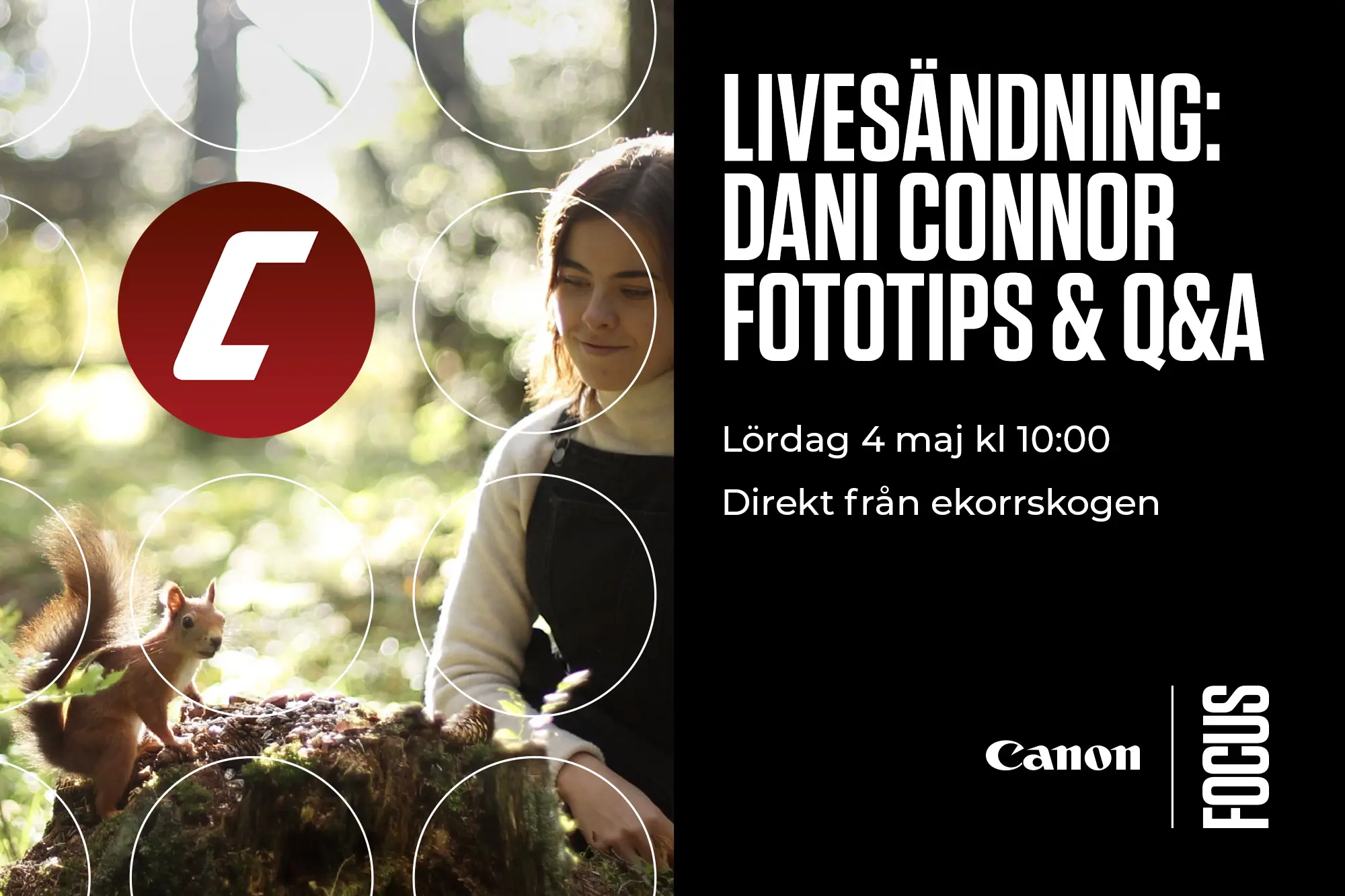 Live Q A Fr n Ekorrskogen Med Dani Connor Nu P L rdag CyberPhoto Live Q A Fr n Ekorrskogen Med Dani Connor Nu P L rdag CyberPhoto