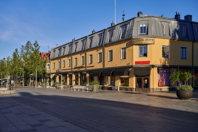 Nikon Z 24-70mm f2.8 II_37w.jpg