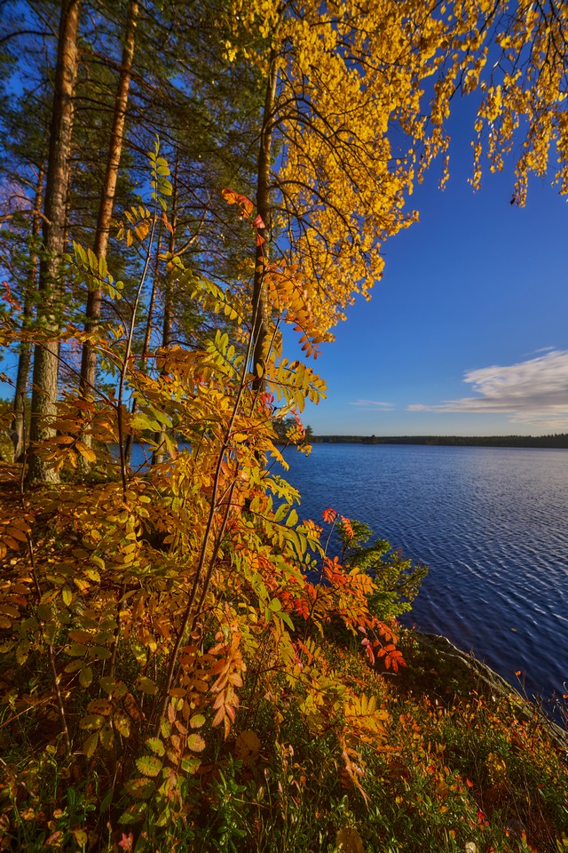 Viltrox 14mm f4_20w.jpg