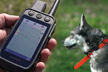 GarminHundspårning_blogg.jpg
