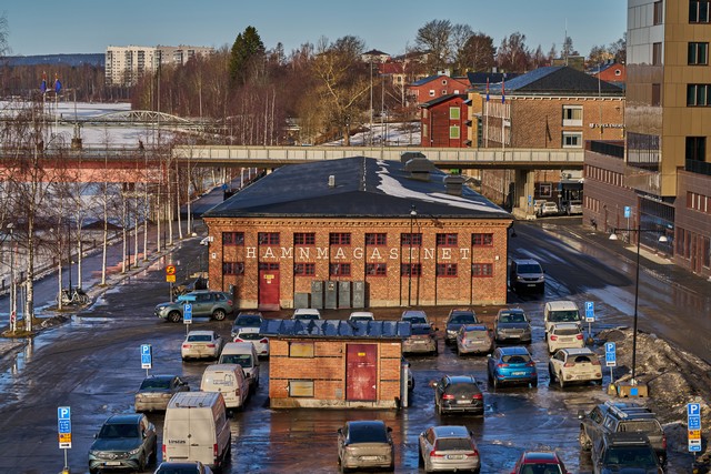 Sony 100mm f2.8 Macro_15w.jpg