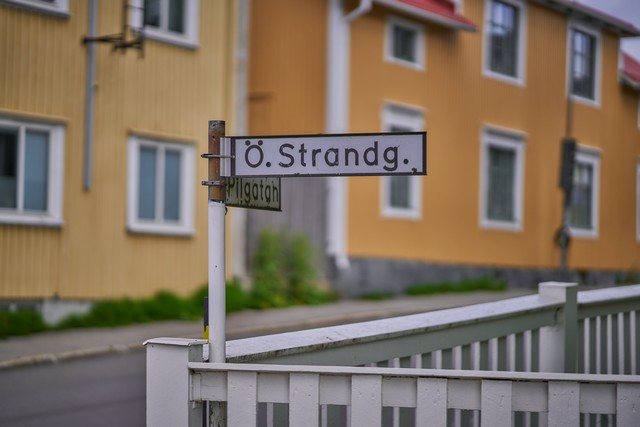 Samyang 85mm f1.4 FE II_9w.jpg