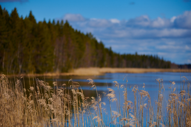 Nikon 120-300 f2,8_4w.jpg