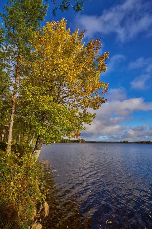 Sigma 20-200mm DG C_35w.jpg