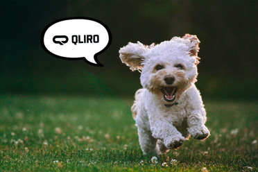 blogg_qliro.jpg