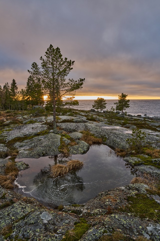 Tamron 25-200mm_24w.jpg