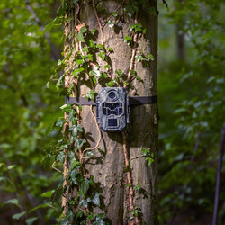 EZ2 Ultra Wildcamera