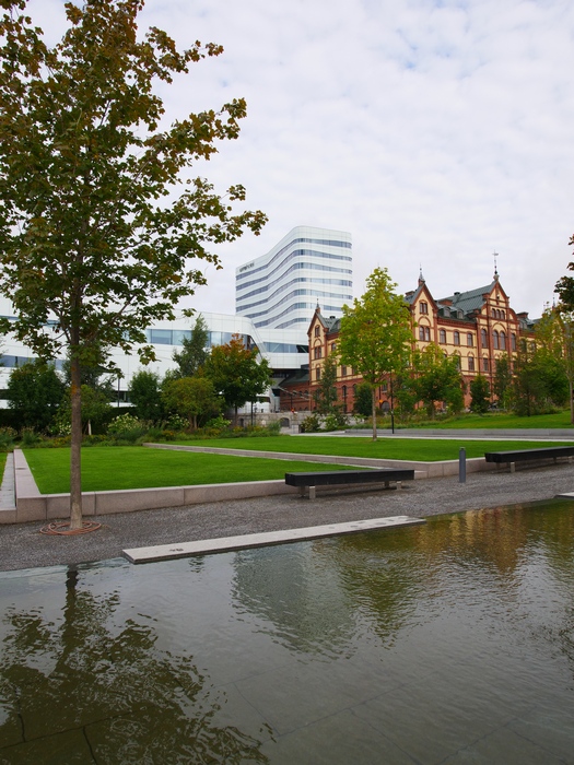 P1000033w.jpg