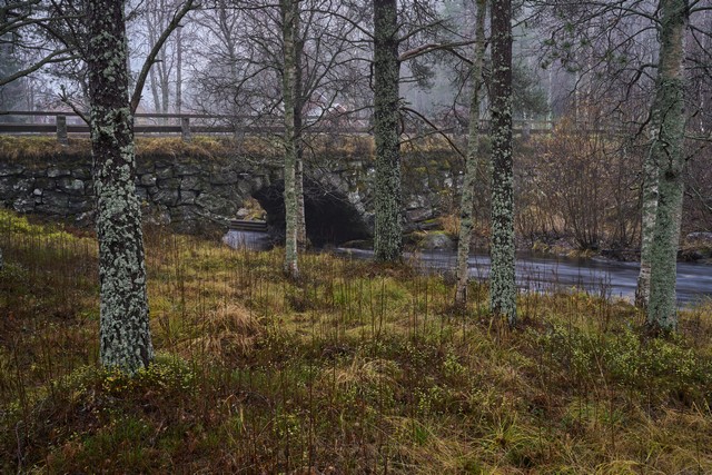 Sigma 35mm f1.2 II_4w.jpg