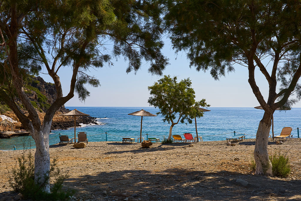 Sigma 23mm f1.4_blogg3.jpg