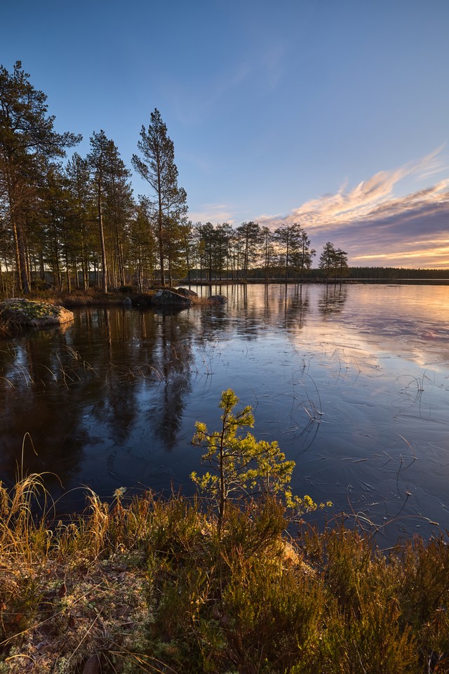 Canon EOS R6 Mark III_10w.jpg