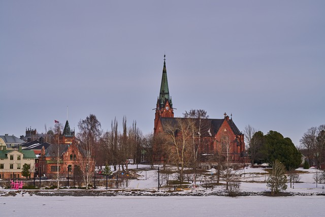 Sony 100mm f2.8 Macro_4w.jpg