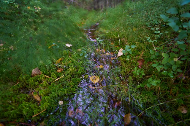 Samyang 16mm f2.8_20w.jpg